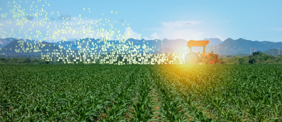 Tractor in a field