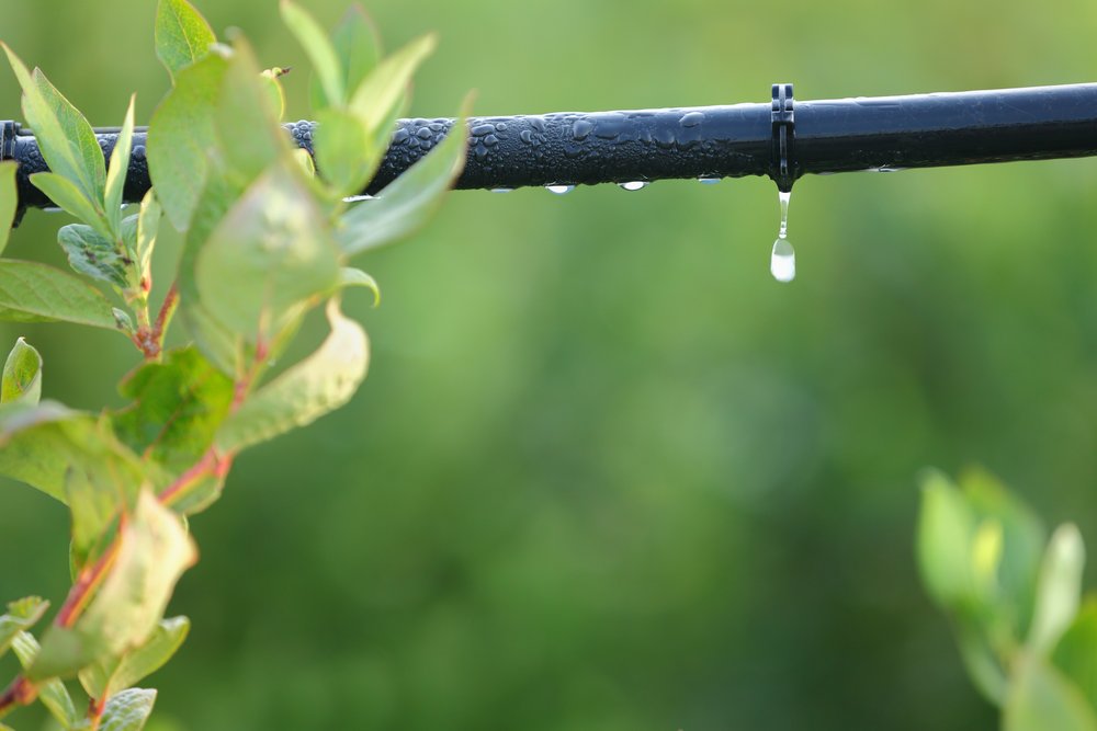 Drip irrigation pipe