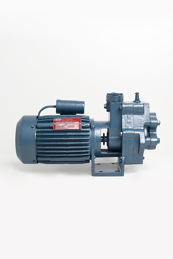 Jet Pump Domestic by Texmo Industries