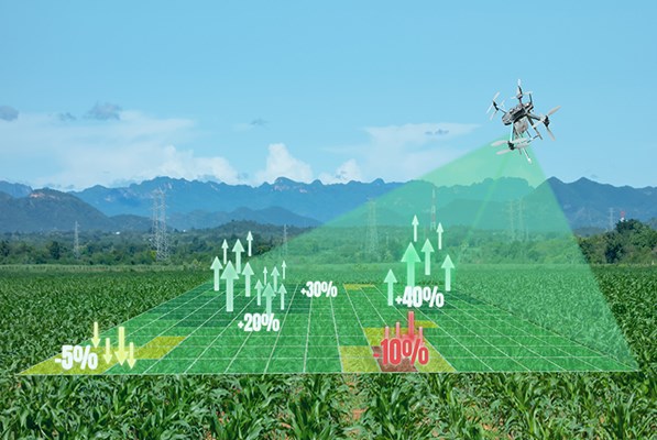 Pictorial of a drone flying over a farm land