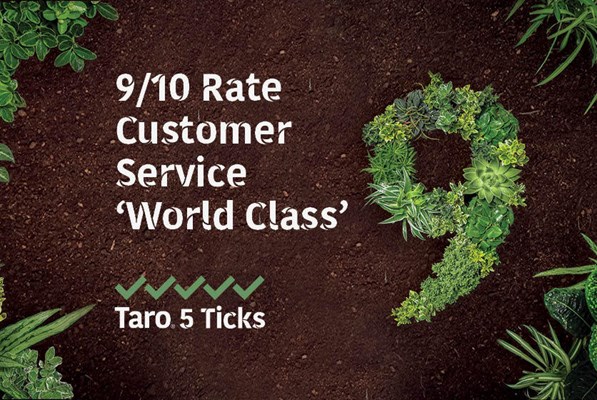 Taro Pumps 9 out of 10 Rate Customer Service World Class Banner