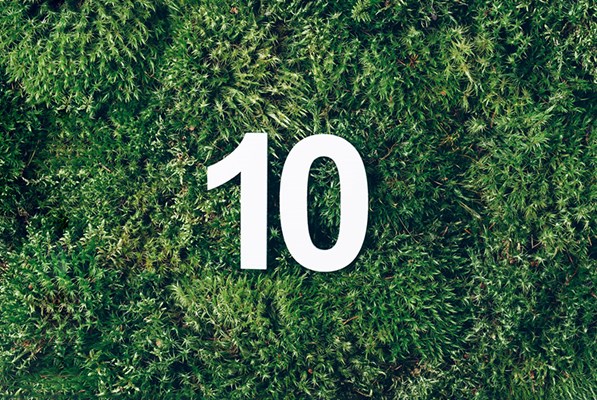 Digit ten over a green grass background