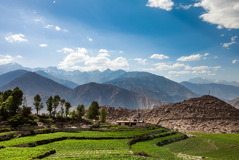 Agricultural field in Spiti valley, Himachal Pradesh