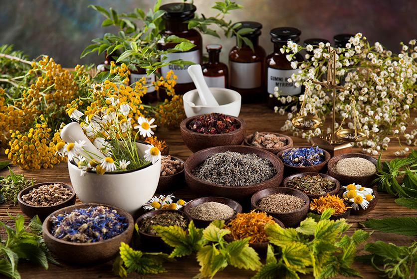 Mortar and pestle with several types of natural herbs in wooden bowls