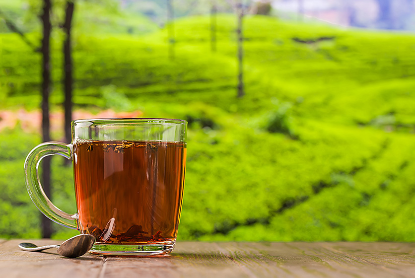 Tea in a glass cup with a tea estate as background